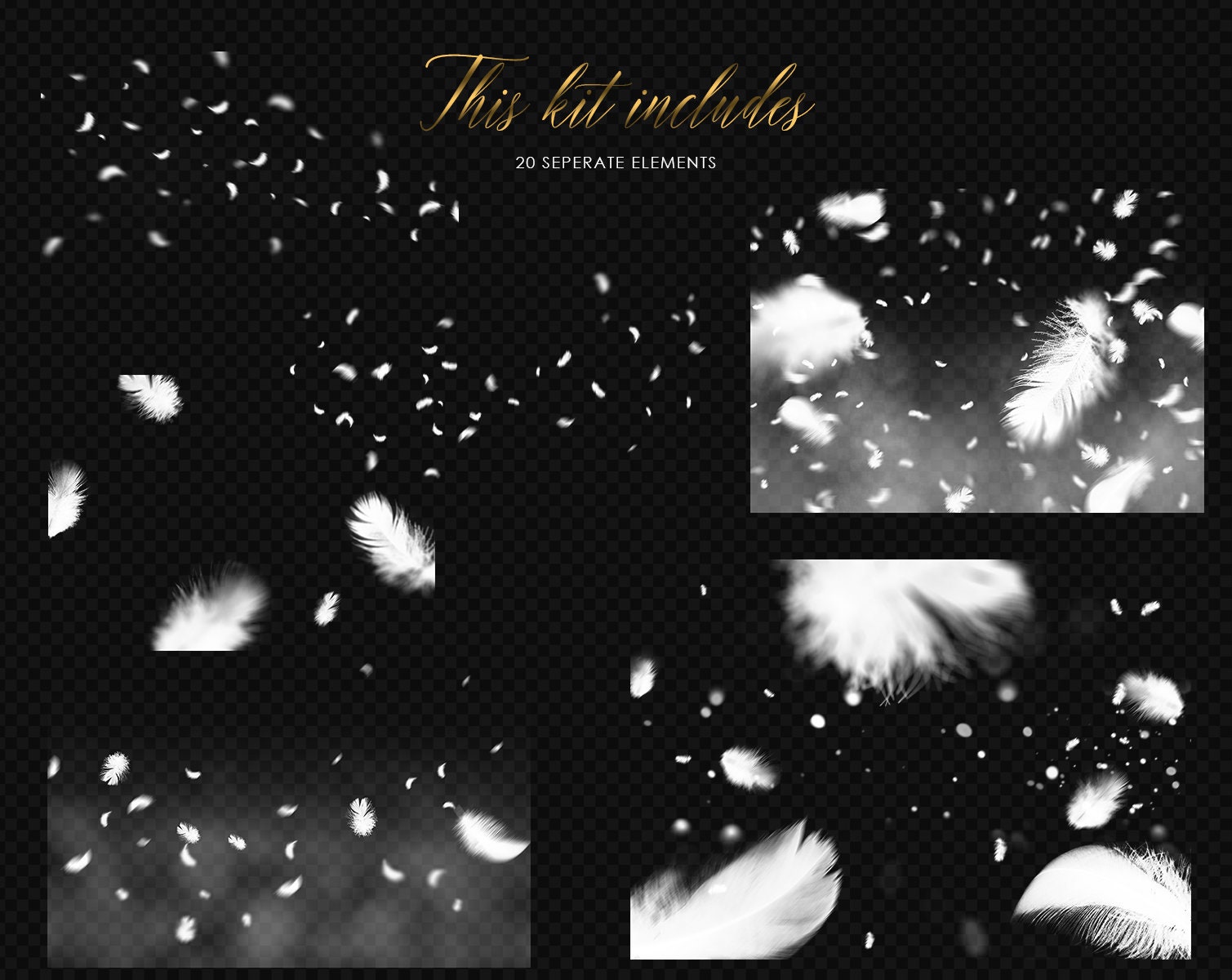 20 White Flying Feathers Overlays Feathers Clip Art PNG Etsy