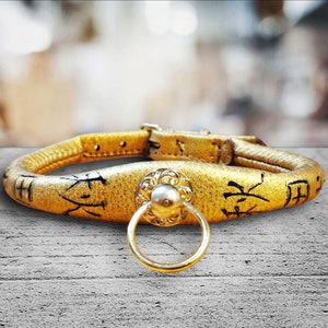 Hand Painted Akita Inu Collar for dog show