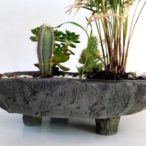 Peut inclure: Un pot ovale gris texturé avec trois pieds. Le pot est rempli de galets blancs et de diverses plantes grasses, dont un cactus haut.