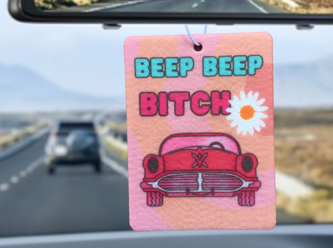 Reusable Eco Friendly Funny Car Air Freshener. Car Accessories Funny