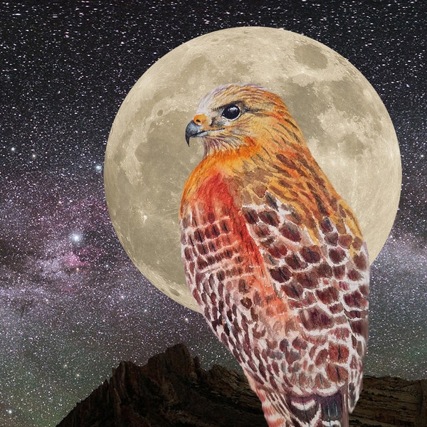 Hawk Moon Spirit - Hawk Painting - Fine Art Print from Original Watercolor Painting - Animal Nature Decor
