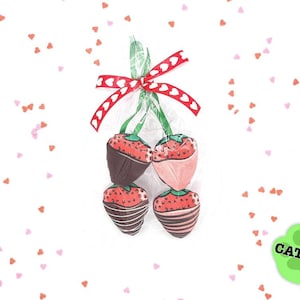 Catnip Toys Set - Chocolate Strawberries