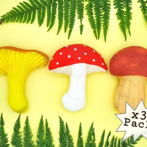 Pack x3 Différents Parfums Jouets Pour Chat - Champignons