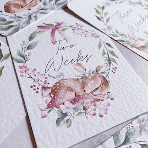 Cartes d'étape de bébé, animal mignon, jolies cartes d'étape, cartes de grossesse elle, cadeau de baby shower, cerf, petite fille, cadeau de naissance, faon