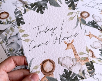 baby milestone cards, Safari, Jungle, Safari Milestone Cards, baby shower gift, pregnancy cards, baby girl, new baby gift, elephant baby boy