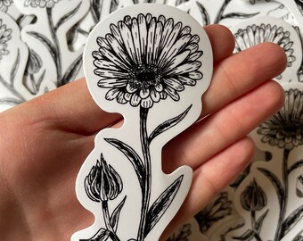 Calendula Flower Vinyl Sticker