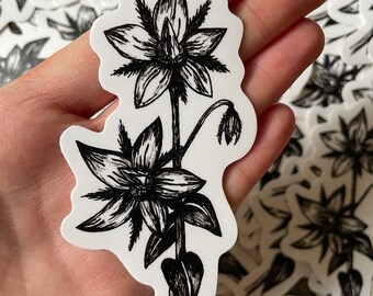 Borage Flower Vinyl Sticker