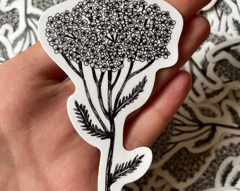 Yarrow Flower Vinyl Sticker