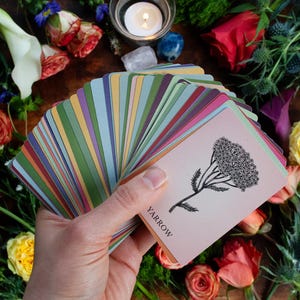 Cartas de poesia de plantas com flores mágicas | Baralho de oráculo de plantas com 60 cartas | Medicina vegetal