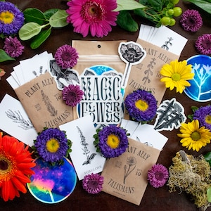 Paquete de flores mágicas / Regalo para jardineros / Amantes de las plantas / Brujas verdes / Arte botánico
