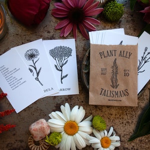 Vol 1 Plant Ally Talisman Cards Mini Deck Plant Medicine Cards image 1