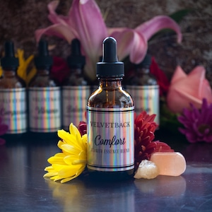 Comfort Flower Essence Blend + Guidebook and Plant Ally Talisman Card Pull | Borage Calendula Grape Hyacinth Helichrysum Lupine