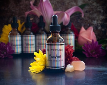 Comfort Flower Essence Blend + Guidebook and Plant Ally Talisman Card Pull | Borage Calendula Grape Hyacinth Helichrysum Lupine