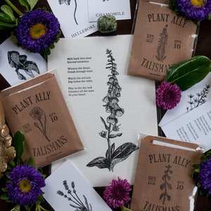 Deluxe plantenliefhebberbundel | Cadeau voor tuinman | Groene heks | Botanische kunst