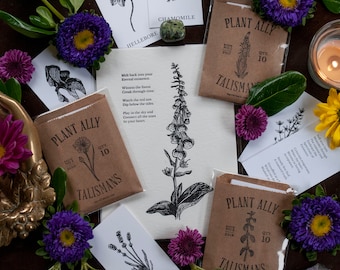 Deluxe Plant Lover Bundle | Gift for Gardener | Green Witch | Botanical Art