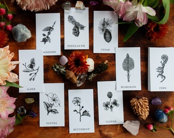 Cartas Talisman de Aliados de Plantas: Mini Extensión Botánica