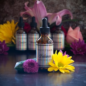 Balance Flower Essence Blend + Guidebook and Plant Ally Talisman Card Pull | Camellia Clematis Dahlia Dandelion Hydrangea