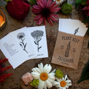 Vol 1 Plant Ally Talisman Cards Mini Deck Plant Medicine Cards image 5