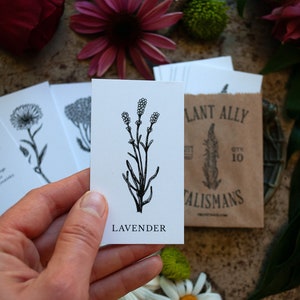 Vol 1 Plant Ally Talisman Cards Mini Deck Plant Medicine Cards image 3