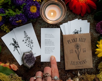 Vol 3 Plant Ally Talisman Cards Mini Deck | Plant Medicine Cards