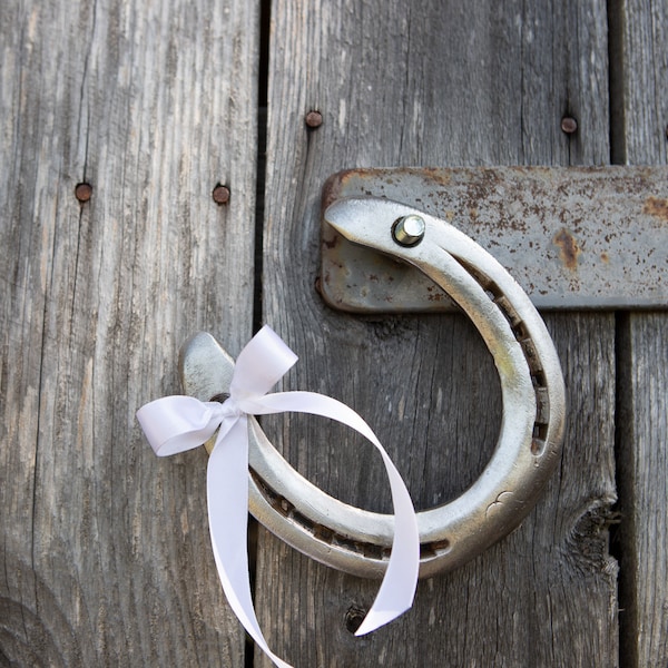 Horseshoe Party Favors Etsy