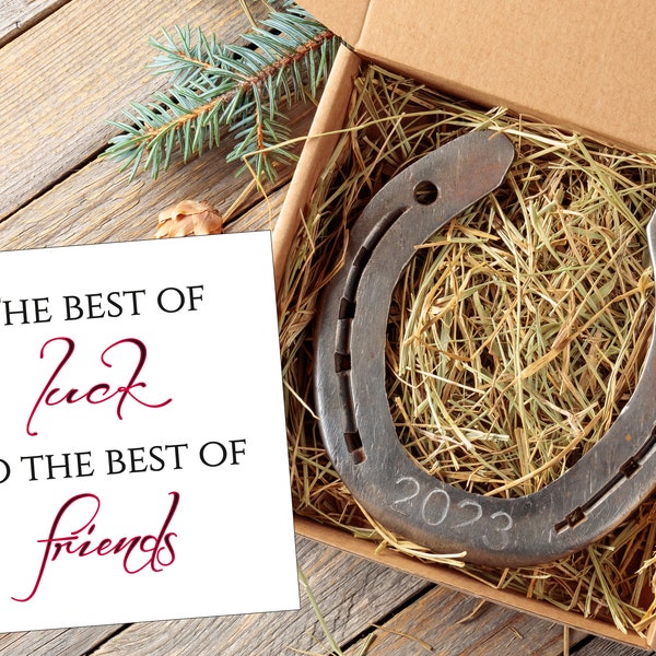 Best of luck to the best of friends Good Luck Horseshoe Gift Western Front Door Decor Gift for Best Friend, Used Horse Shoe Equestrian Decor