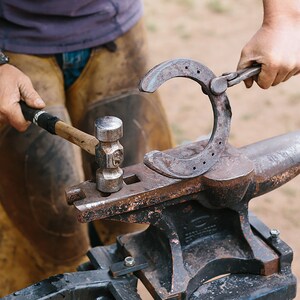 May include: A blacksmith forges a horseshoe on an anvil. The horseshoe is held with tongs while being hammered. The anvil is dark metal, and the blacksmith wears leather protective gear.