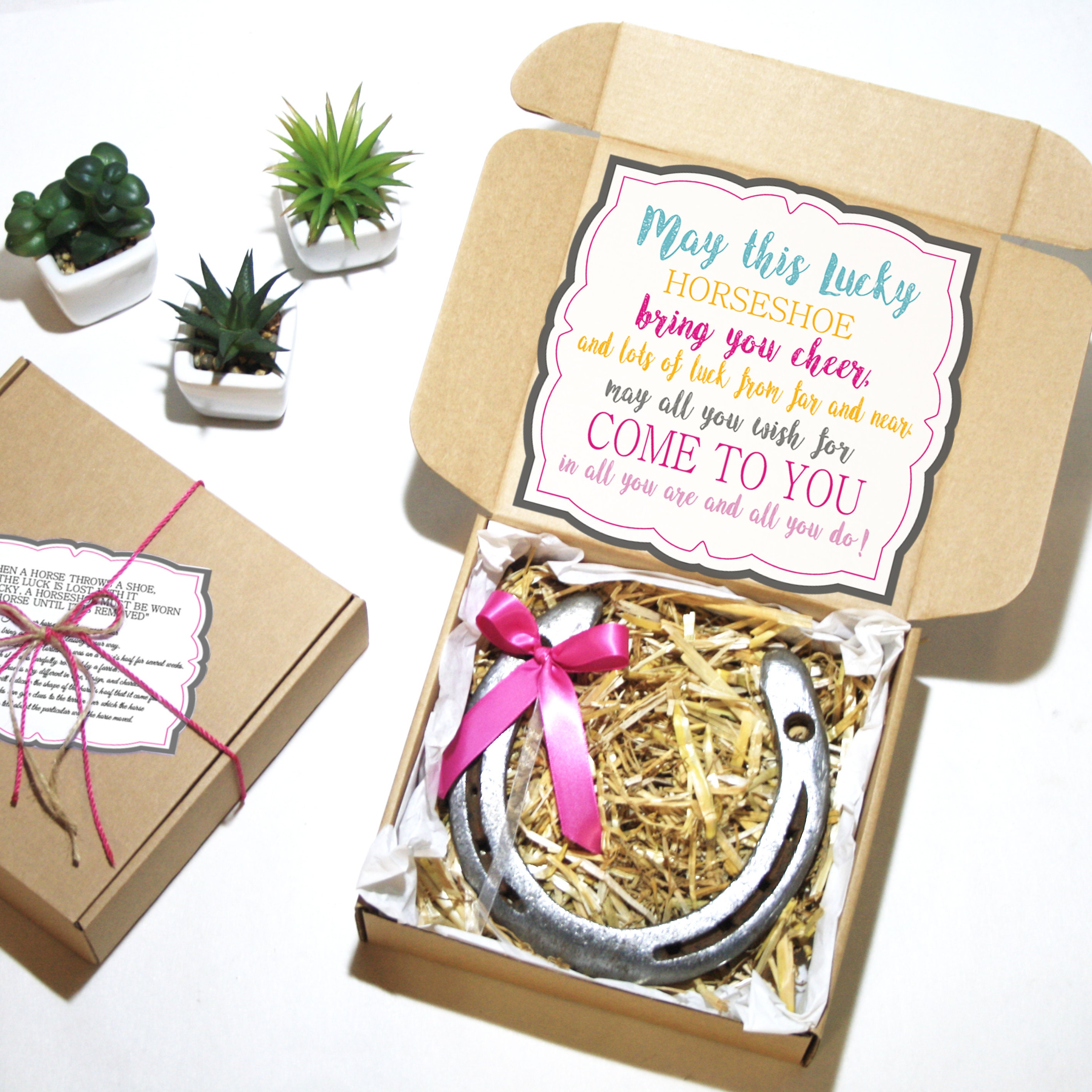 Lucky Horseshoe Gift Good Luck Horseshoe Lucky Charm Gift For Etsy