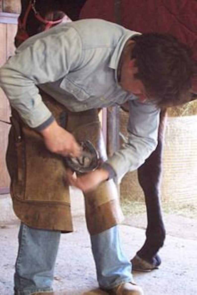 May include: A farrier working on a horse's hoof. The farrier wears a denim shirt, jeans, and a leather apron. The horse is brown, and the farrier is holding a horseshoe.
