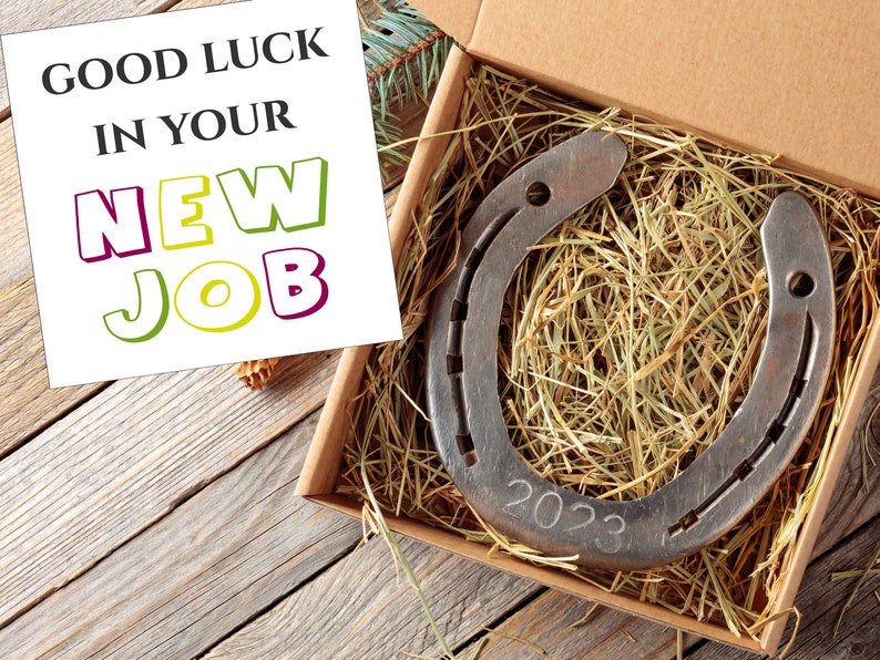 Personalized New Job Gift Coworker Gift, Going Away Gift, Good Luck Gift, Lucky Horseshoe, New employee, Horse shoe, graduation gift ideas image 1