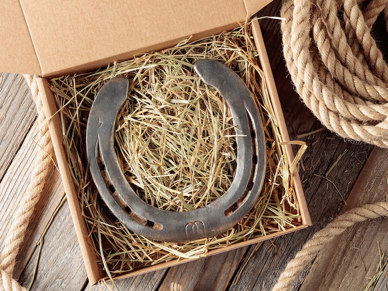 May include: A rustic horseshoe in a cardboard box filled with straw. The box is open and the horseshoe is visible.