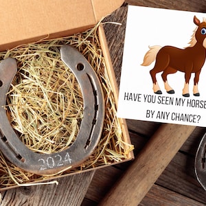 Grappig cadeau met gelukshoefijzer | Uniek aandenken voor geluk | Humoristisch cadeau met een vleugje rustieke charme | Cadeau westers decor