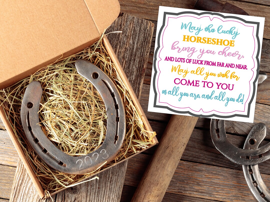 Lucky Horseshoe Gift, Good Luck Horseshoe, Lucky Charm Gift for Sister