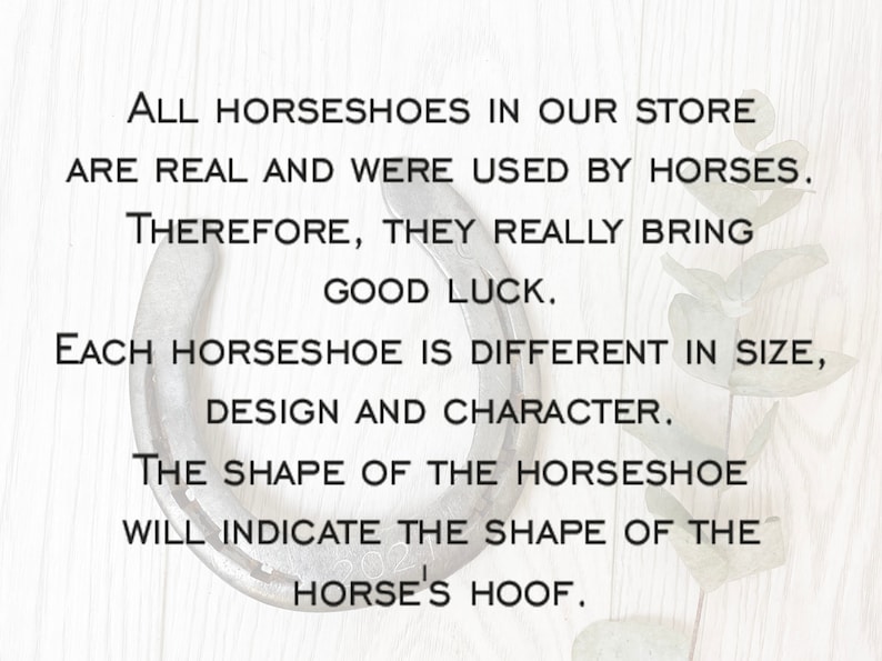 May include: A horseshoe with the text "ALL HORSESHOES IN OUR STORE ARE REAL AND WERE USED BY HORSES. THEREFORE, THEY REALLY BRING GOOD LUCK. EACH HORSESHOE IS DIFFERENT IN SIZE, DESIGN AND CHARACTER. THE SHAPE OF THE HORSESHOE WILL INDICATE THE SHAPE OF THE HORSE'S HOOF."