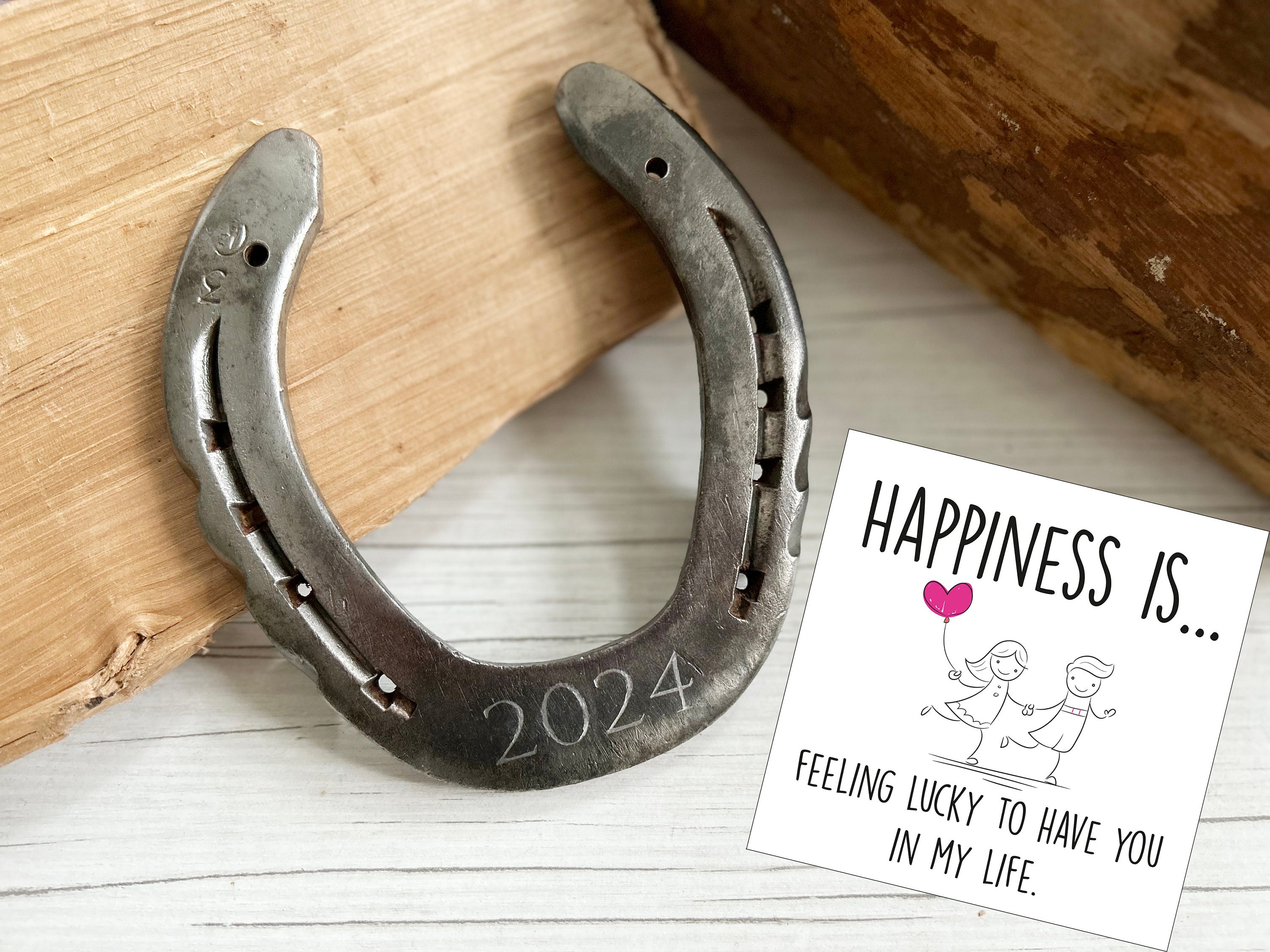 Cosa Sono I Chiodi A Ferro Di Cavallo E Quale Ruolo Svolgono In - Foto 14