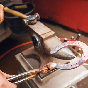 May include: A blacksmith forges a horseshoe on an anvil. The horseshoe is held with tongs and is glowing red-hot. A hammer and a bucket are in the background. The scene is set in a workshop with a red wall.