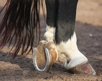 Real Iron Horseshoe Used By Horse, Unique Any Occasion Gift, Good Luck Wishes, Custom Engraved Horse Shoe, Luck Talisman for New Beginning