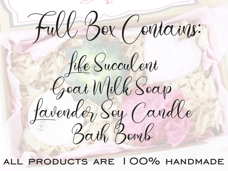 Boss Lady Gift Box Succulent Gift Box Birthday Gift For Boss Spa Gift Box Care Package Colleague Gift For Her Live Succulent Sympathy Gift