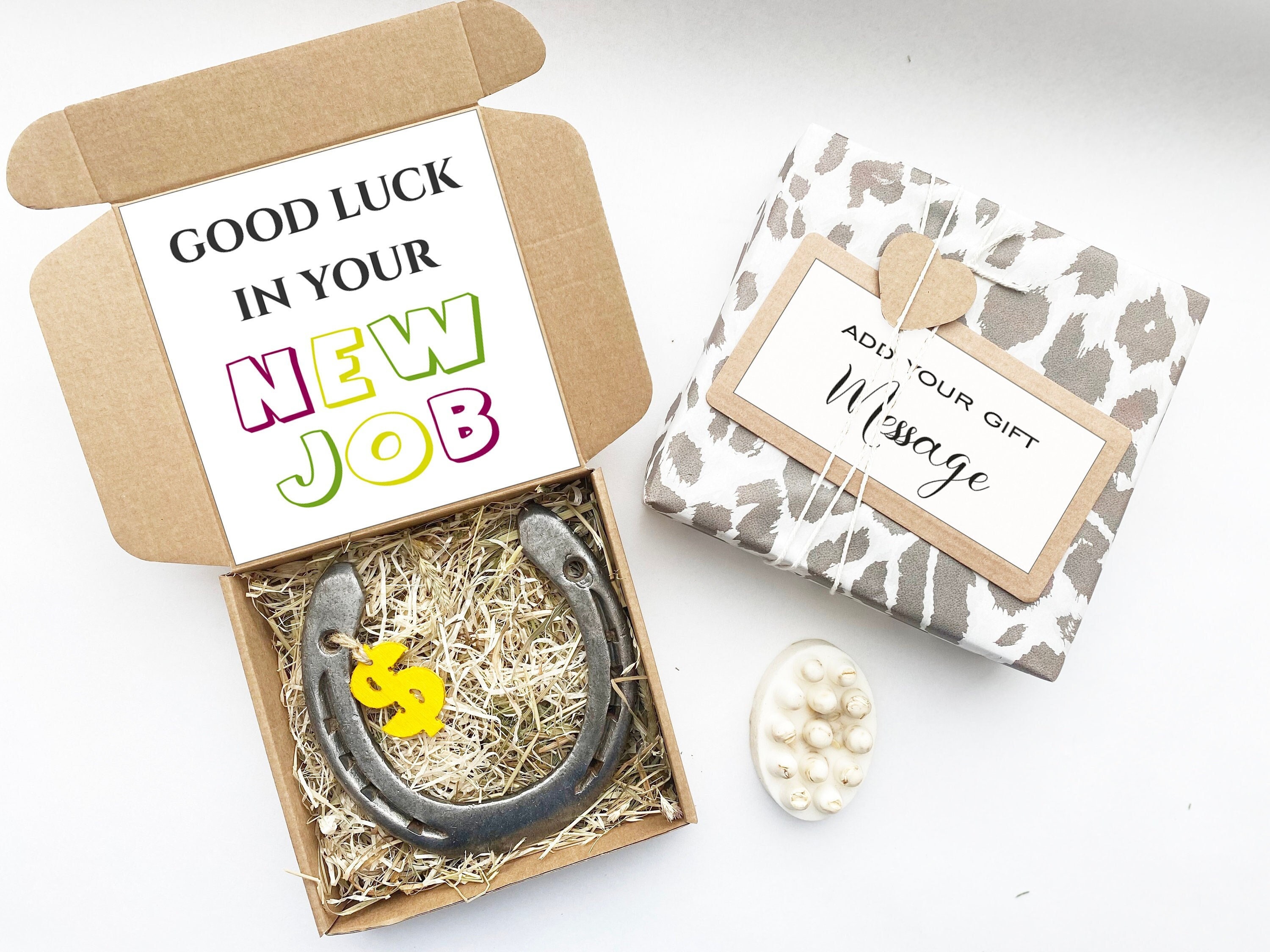 Cadeau Personnalisé Pour Un Nouvel Emploi - Cadeau de Collègue, Départ, Bonne Chance, Fer à Cheval C