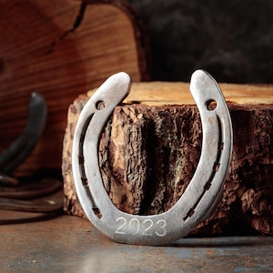 Lucky Horseshoe Gift: Authentic Used Horseshoe, Entryway Decor