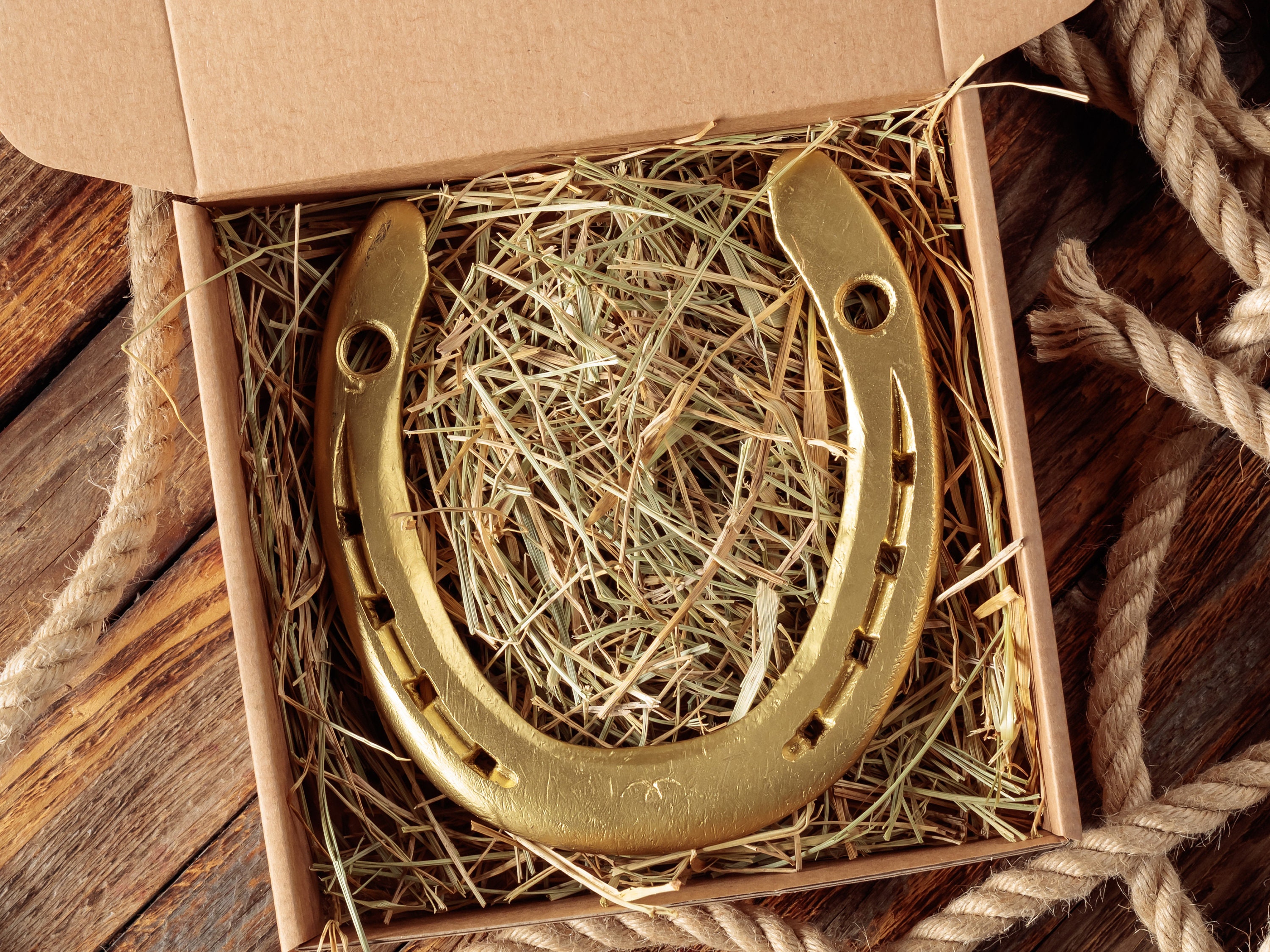 New Business Owner Gift – Authentic Good Luck Horseshoe With