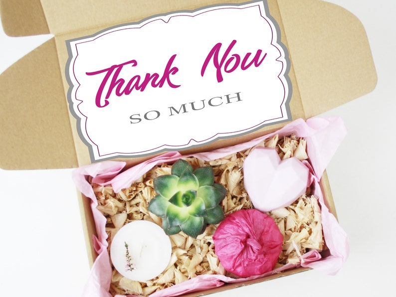 Thank You Gift Box Sympathy Gift Box Quarantine Succulent