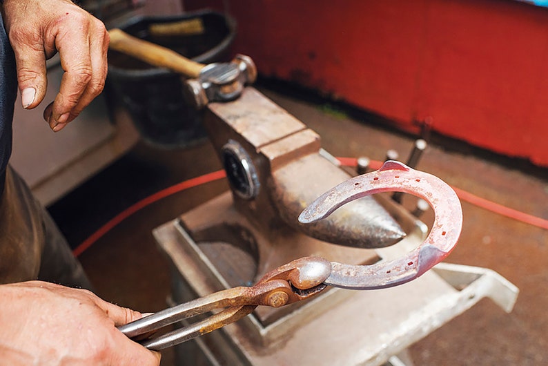 Lucky Horseshoe for 2025 Good Luck Gift for Horse Lovers, Unique Gift