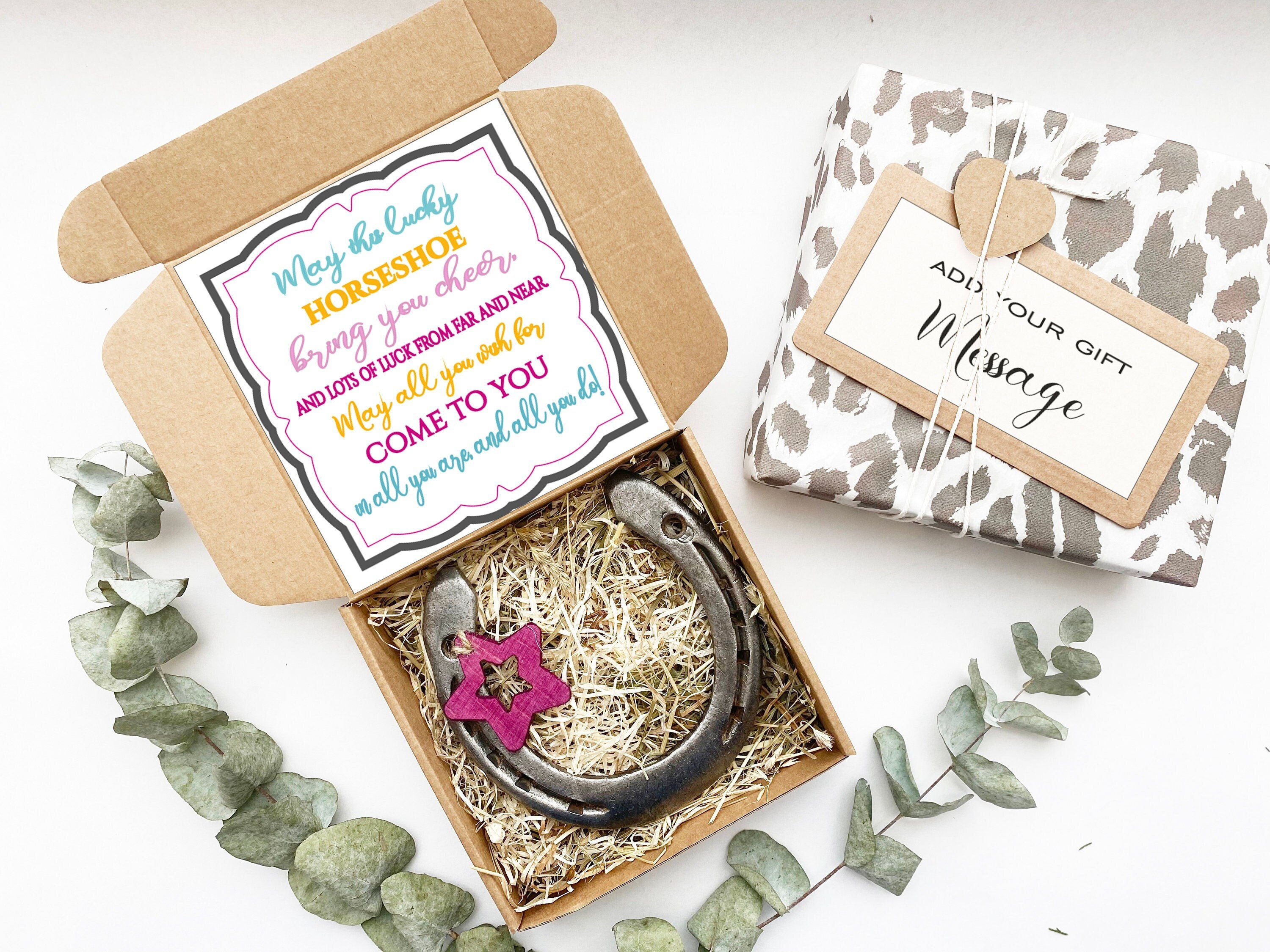 Lucky Horseshoe Gift Good Luck Horseshoe Lucky Charm Gift for Etsy