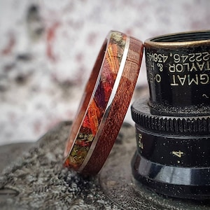 Flamed Mahogany and Silver Bentwood Wedding Ring with Dried Flower Inlay - wedding band - mens ring - women&#39;s ring