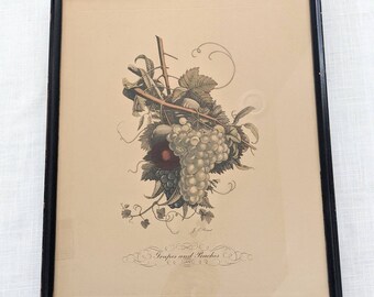 Vintage framed Print  Grapes and Peaches No. 8  Jean-Louis Prevost Botanical Fruit Artwork