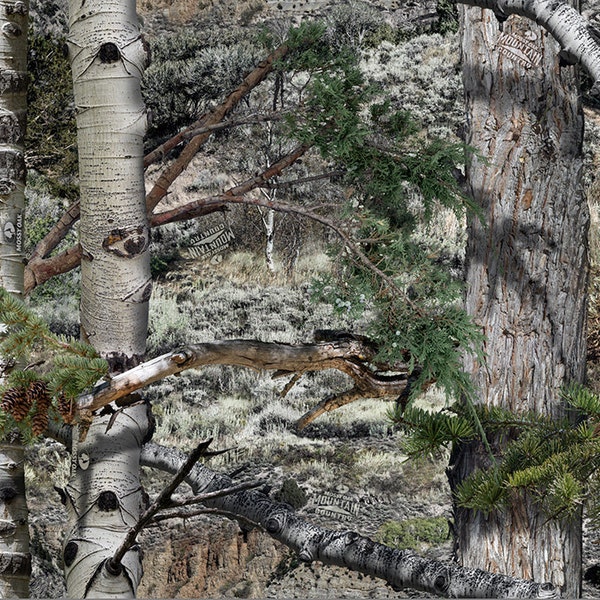 Mossy Oak Mountain Country Camo Vinyl Roll - Outdoor Adhesive Camo Vinyl Wrap - Vinyl Sheets by Mossy Oak Graphics