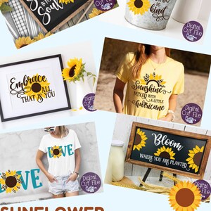 Peut inclure: Un lot de fichiers de d&eacute;coupe num&eacute;rique avec des motifs de tournesols. Le lot comprend des motifs pour t-shirts, pancartes et autres travaux manuels. Les motifs pr&eacute;sentent des tournesols avec diff&eacute;rentes citations, notamment "Sunshine in my soul", "Embrace all that is you", "Love", "When you can be anything be kind", "Sunshine mixed with a little hurricane", et "Bloom where you are planted".
