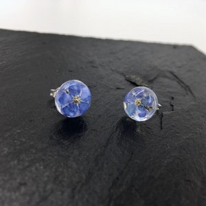 forget-me-not stud earrings silver 925 Sterling