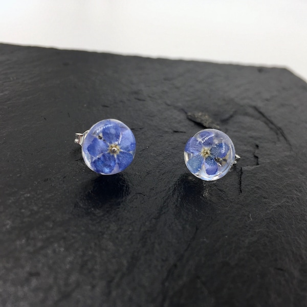 Vergissmeinnicht Blumen Ohrstecker 925 Sterling Silber